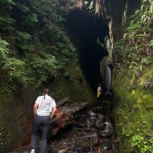 Meet your Posher, Samara